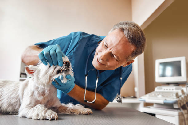 Best Emergency Tooth Extraction in Theodore, AL
